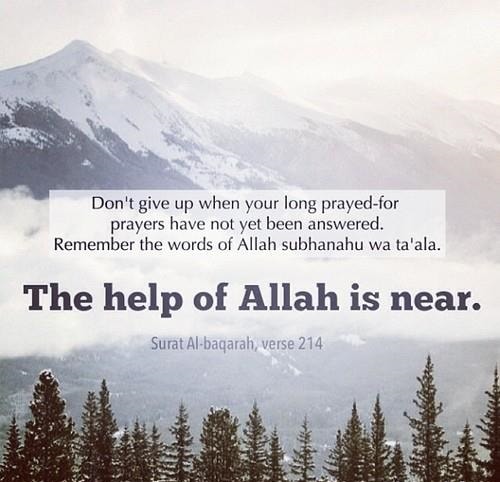 Supplications | Duas Revival | Mercy of Allah